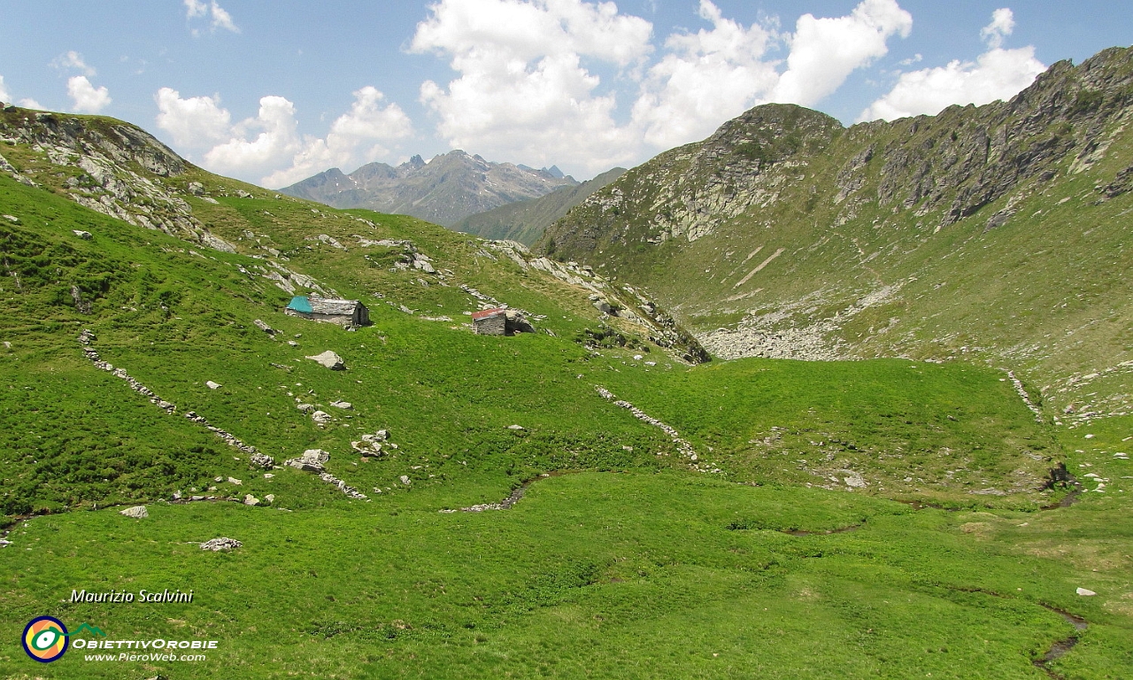 48 Baitelle nel vallone verso la Baita Piedivalle....JPG